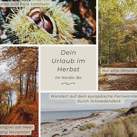 Nordic Bo -Wellen Wald Und Wilde Kueste- Strandnahe Doppelhaushaelfte Mit Waldterrasse Surendorf Buitenkant foto