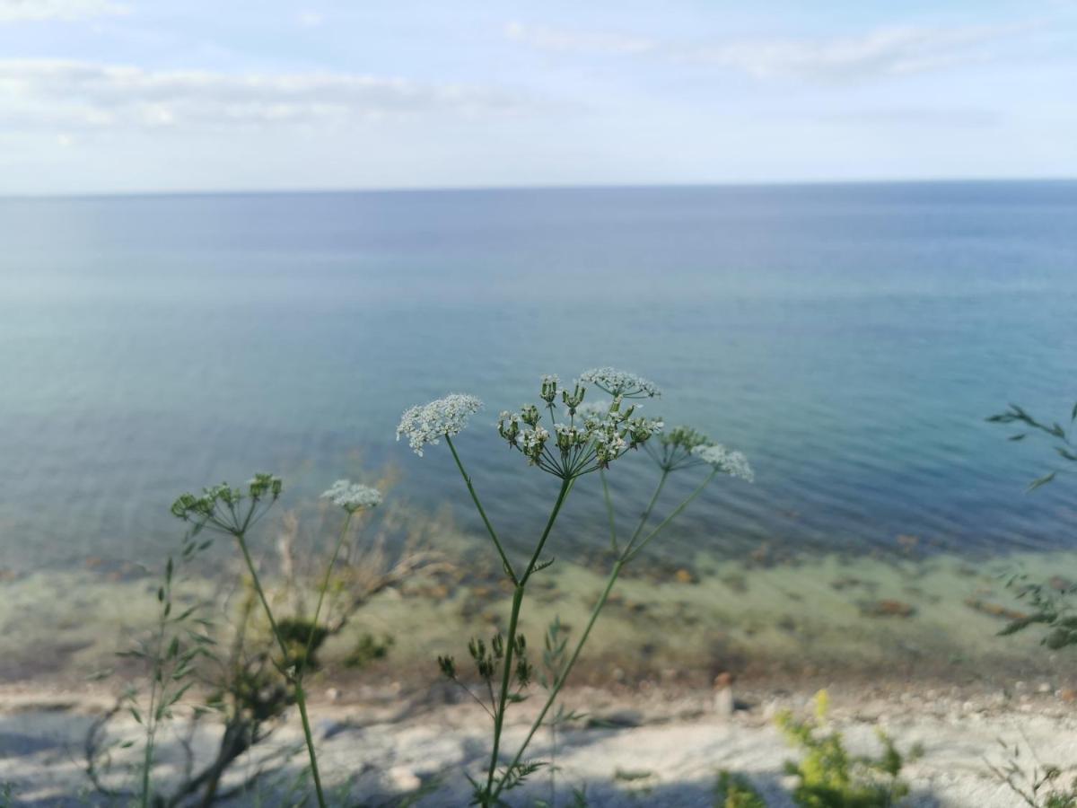 Nordic Bo -Wellen Wald Und Wilde Kueste- Strandnahe Doppelhaushaelfte Mit Waldterrasse Surendorf Buitenkant foto