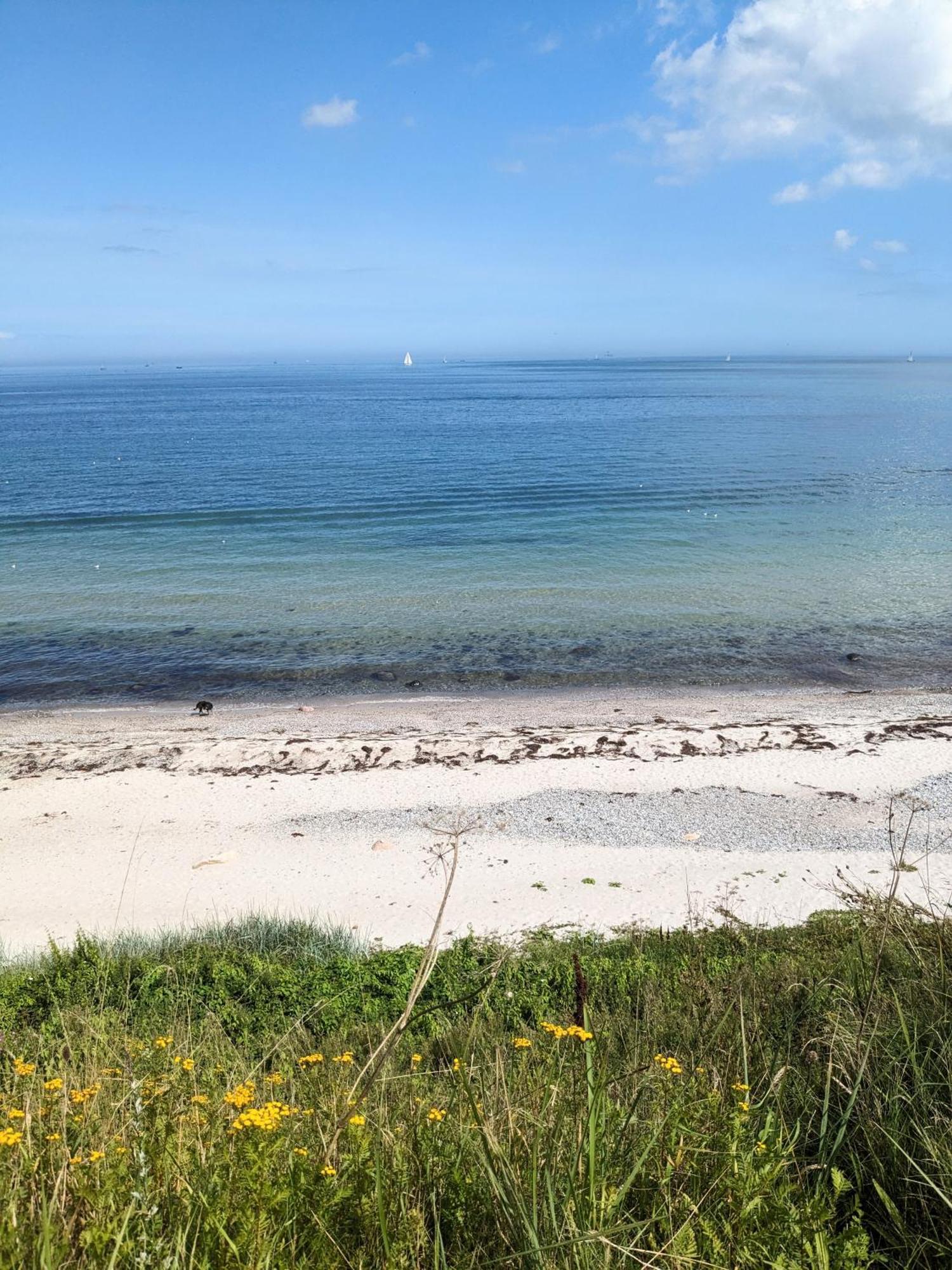 Nordic Bo -Wellen Wald Und Wilde Kueste- Strandnahe Doppelhaushaelfte Mit Waldterrasse Surendorf Buitenkant foto