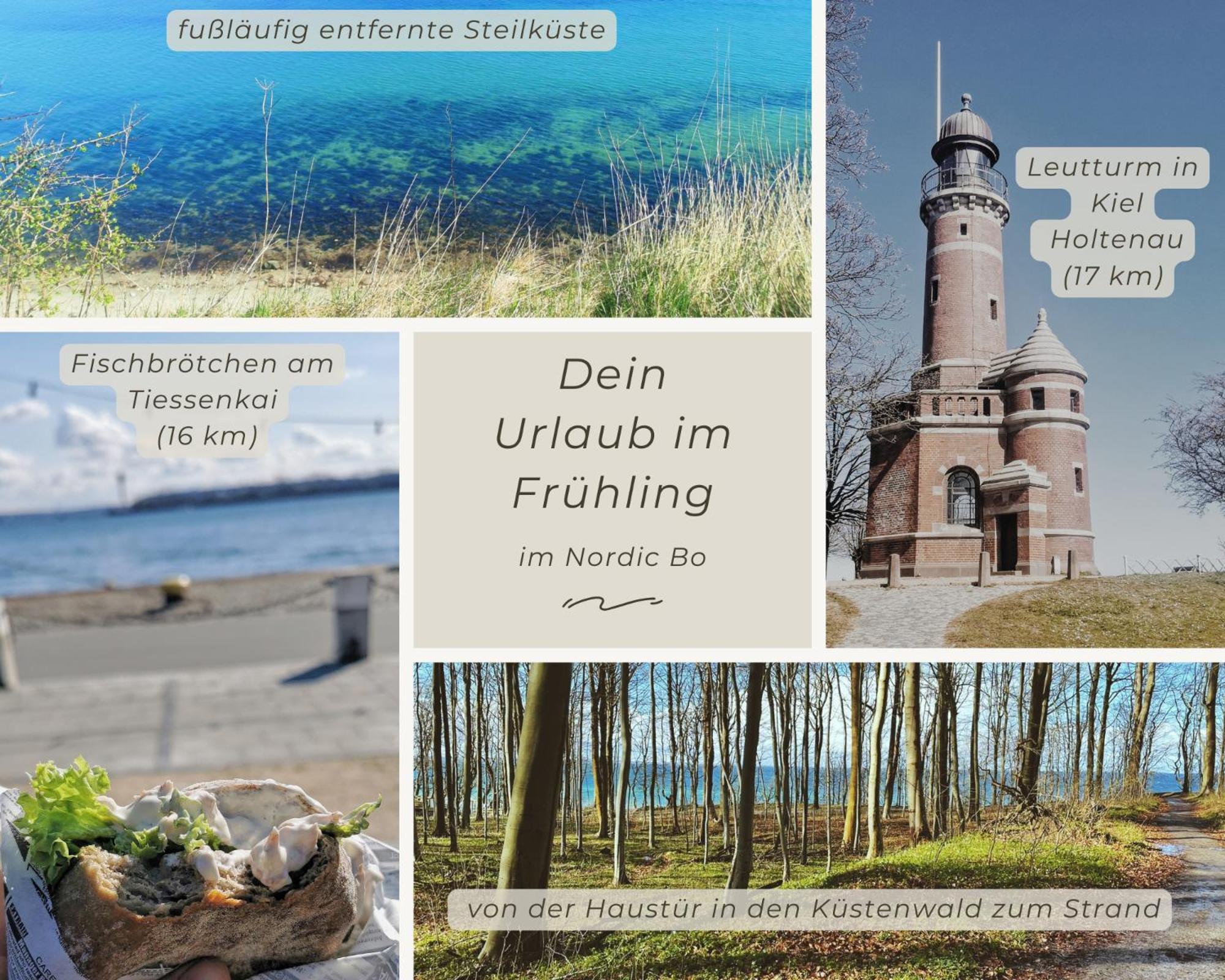 Nordic Bo -Wellen Wald Und Wilde Kueste- Strandnahe Doppelhaushaelfte Mit Waldterrasse Surendorf Buitenkant foto