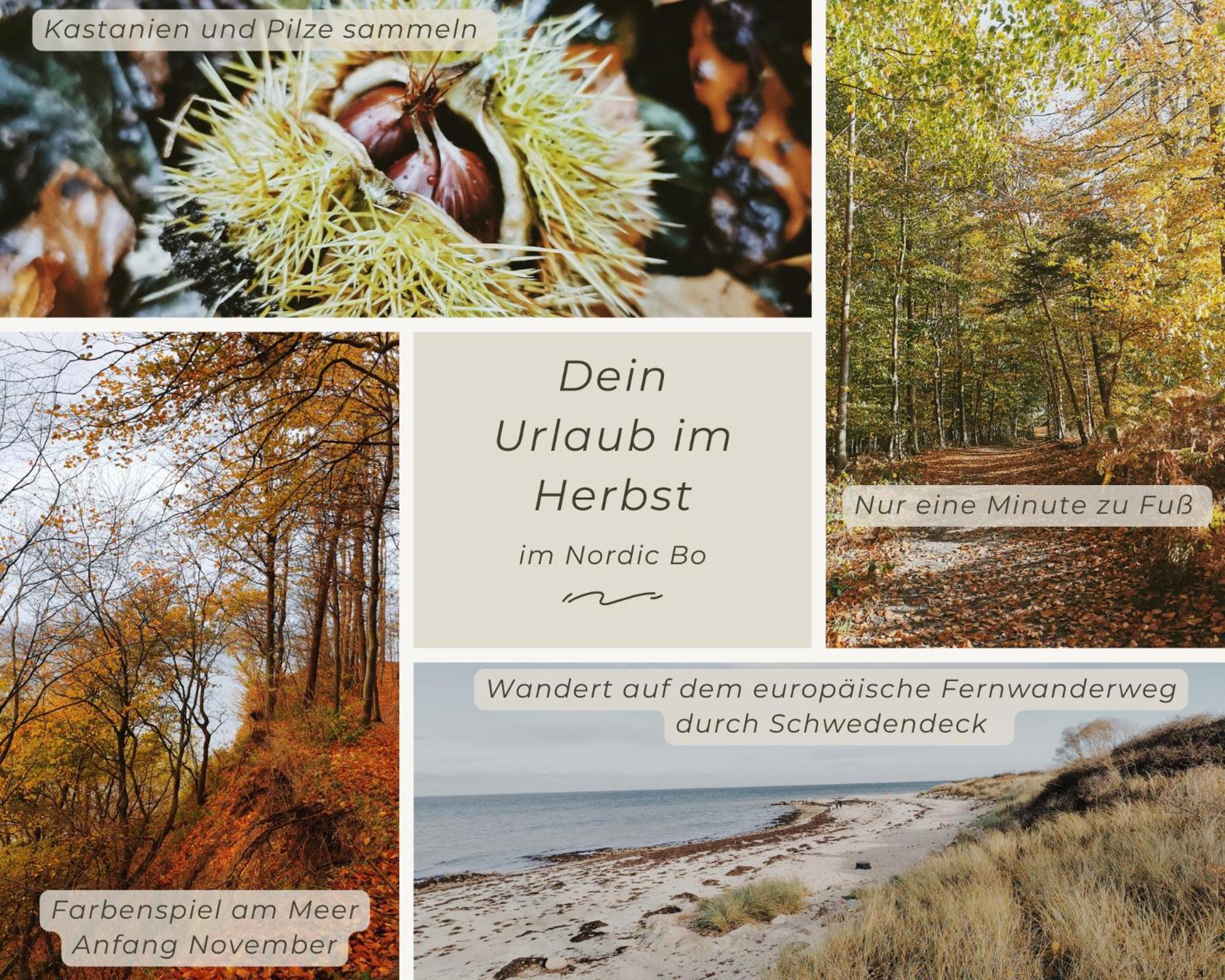 Nordic Bo -Wellen Wald Und Wilde Kueste- Strandnahe Doppelhaushaelfte Mit Waldterrasse Surendorf Buitenkant foto